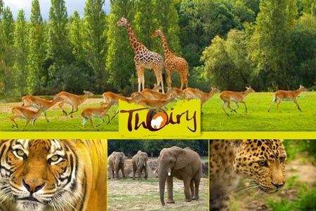 Ou Sortir dans les Yvelines - Zoo Thoiry - Hotel Saint Laurent